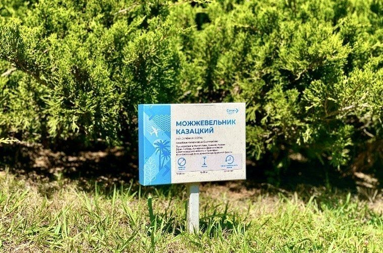 Тропический сад с более чем 325 тысячами растений открыт в аэропорту Сочи