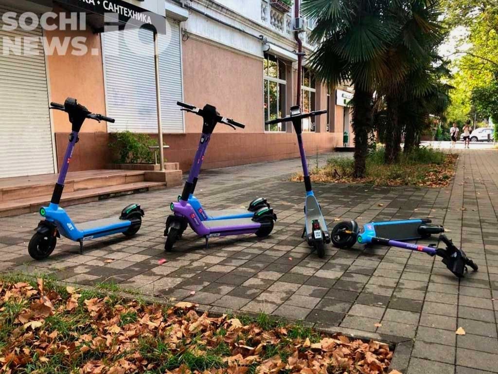 Запрет самокатов в Сочи может зависеть от мнения жителей