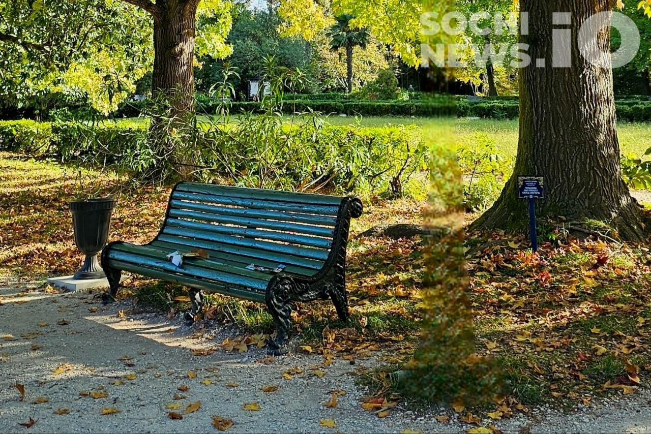 Продление бархатного сезона на Кубани: прогнозы и изменения цен на отдых