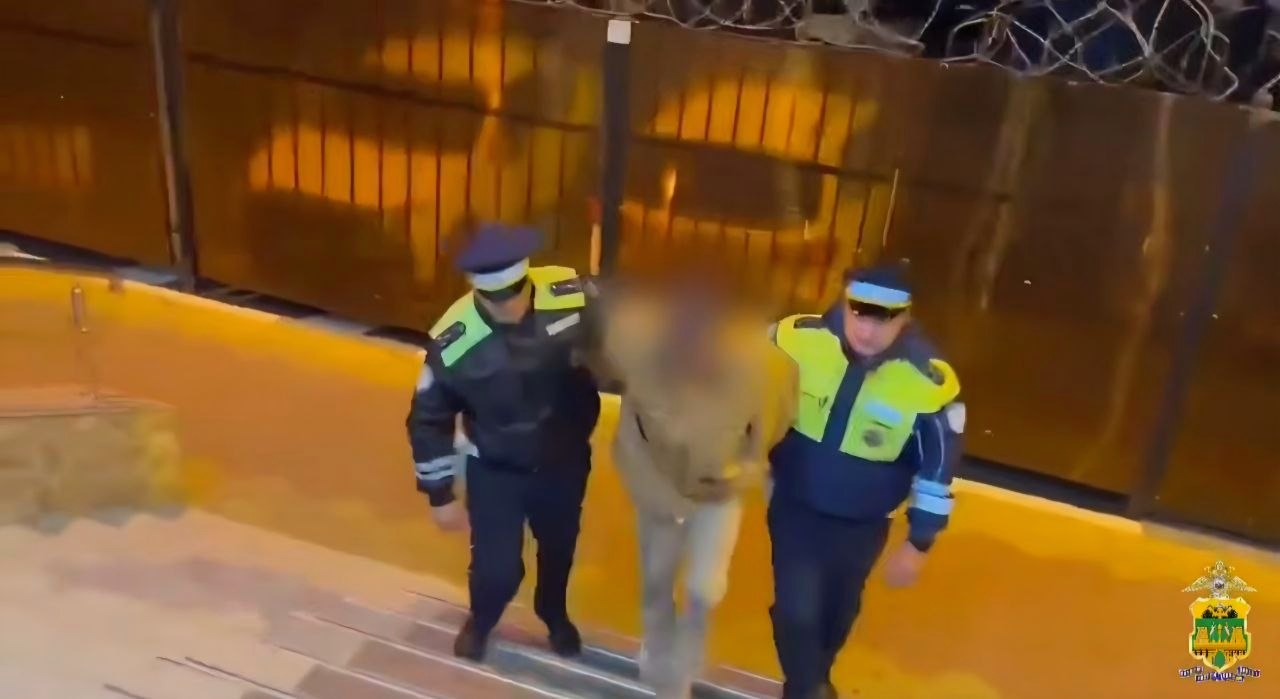 Задержание угонщика иномарки в Адлере с применением стрельбы и погони